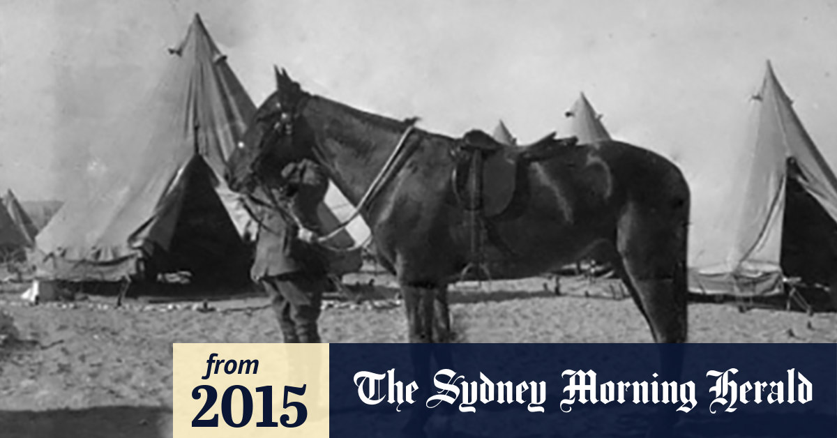 Sandy, the only war horse to come home lest we